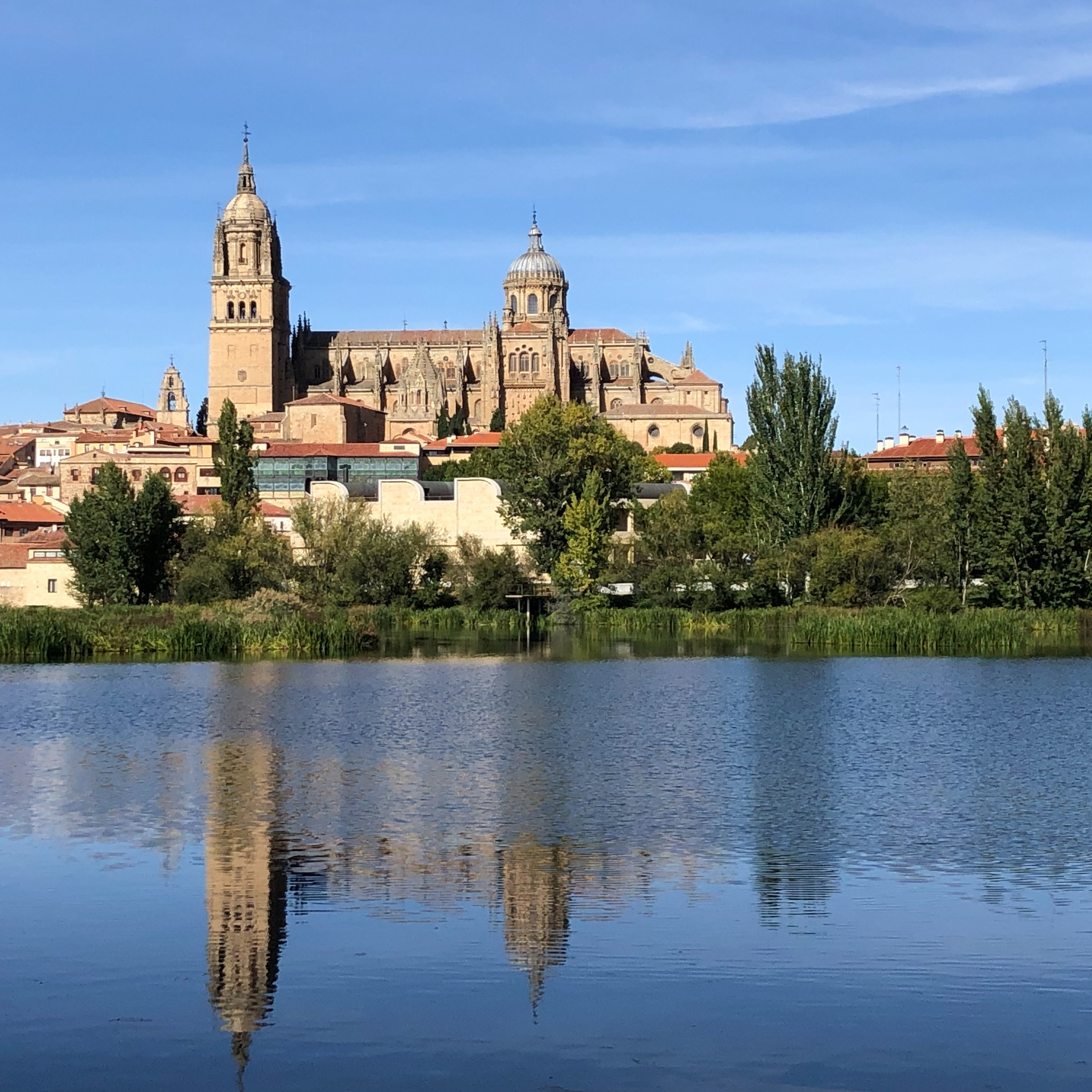 view of the city from the river